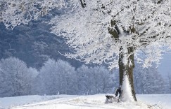 画册欣赏网站【网站建设设计做网站】